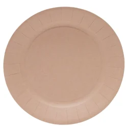 Lot de 10 assiettes en carton Ø23cm rose