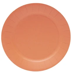 Lot de 10 assiettes en carton orange Ø23cm
