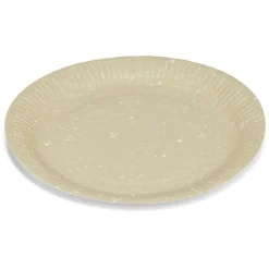 Lot de 8 assiettes motif dinosaures carton Ø23cm