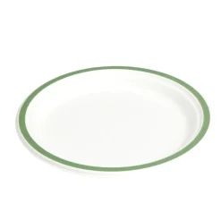 Lot de 20 assiettes plates fibre canne à sucre Ø22,5cm