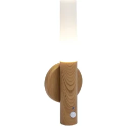Lumière LED d'appoint détecteur de mouvement