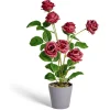 Mini rosier artificiel H40cm < Gifi Clearance
