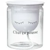 Mon petit pot de fleur