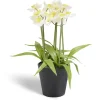Narcisse artificiel en pot Ø28xH30cm < Gifi Sale