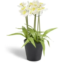 Narcisse artificiel en pot Ø28xH30cm < Gifi Sale