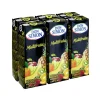 Nectar multifruits Don Simon 6x200ml < Gifi Outlet