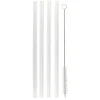 Paille en verre x4 et goupillon inox