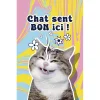 Parfum d'ambiance pour voiture senteur vanille
