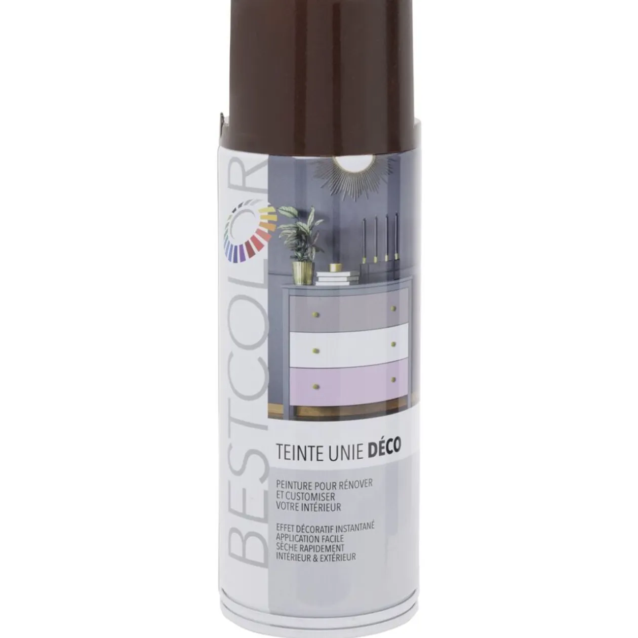 Peinture intérieur extérieur marron chocolat 400ml