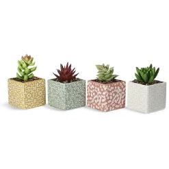 Petite plante grasse artificielle pot en grès motif végétal blanc < Gifi New