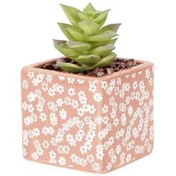 Petite plante grasse artificielle pot en grès motif végétal blanc < Gifi New