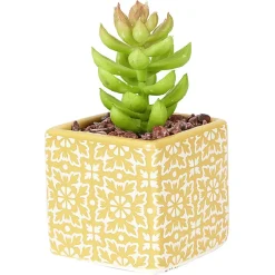 Petite plante grasse artificielle pot en grès motif végétal blanc < Gifi New