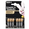 Pile LR03 type AAA x6 Duracell