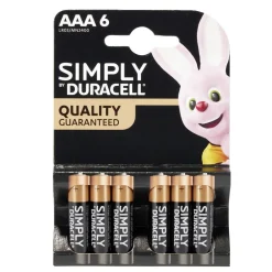 Pile LR03 type AAA x6 Duracell