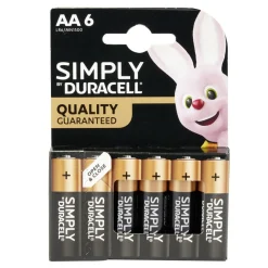 Pile LR06 type AA x6 Duracell
