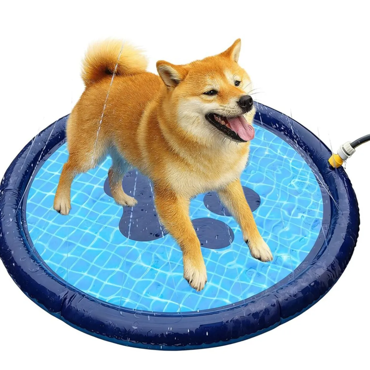 Piscine pour chien ronde Ø100xH10cm < Gifi Outlet