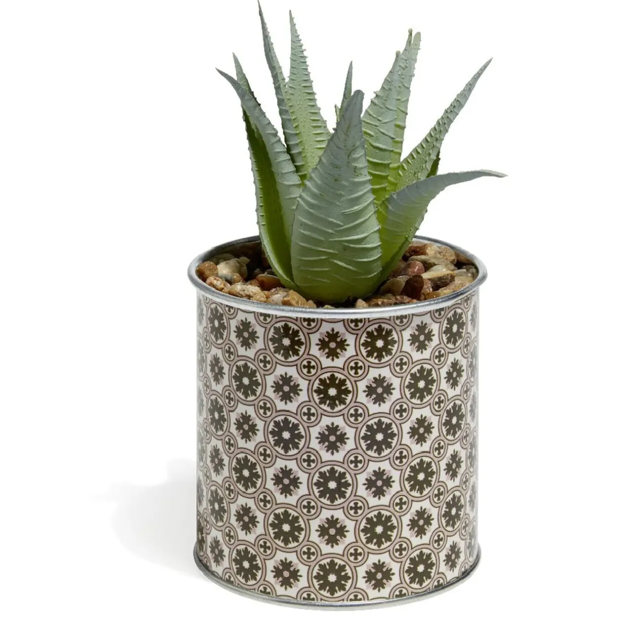 Plante Aloe Vera en pot < Gifi Hot