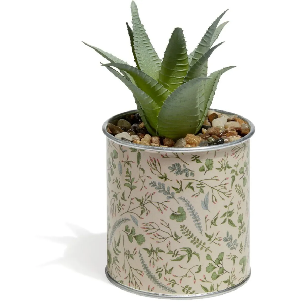 Plante Aloe Vera en pot < Gifi Hot