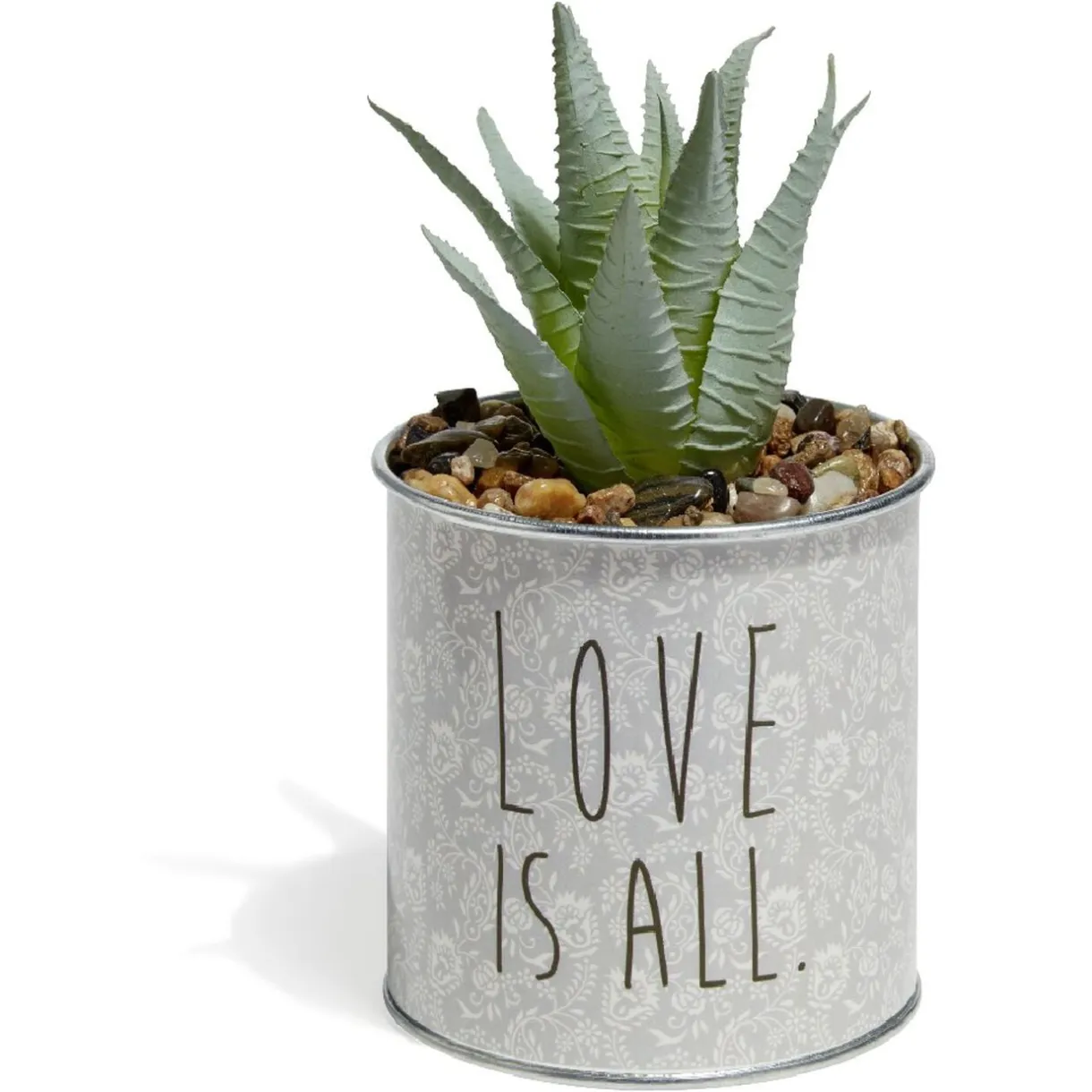 Plante Aloe Vera en pot < Gifi Hot