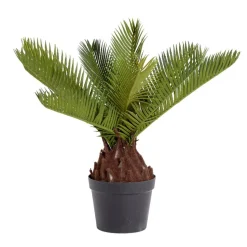 Plante artificielle cycas en pot H38cm < Gifi Discount