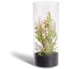 Plante artificielle dans pot tube en verre Ø8xH19cm
