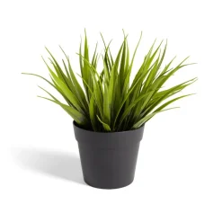 Plante artificielle dans pot plastique noir 9xH13,5cm < Gifi Outlet