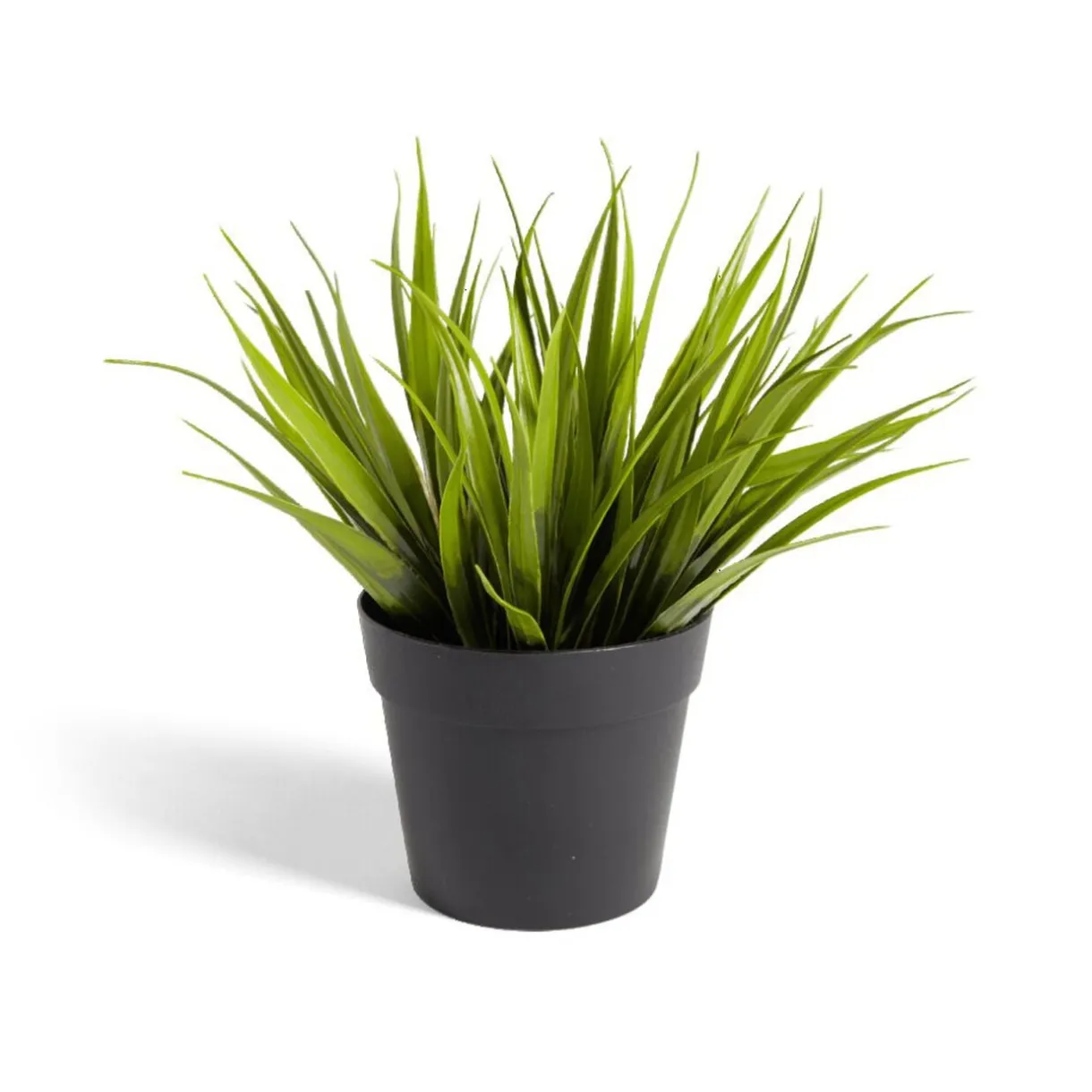 Plante artificielle dans pot plastique noir 9xH13,5cm < Gifi Outlet