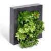 Plante artificielle décoration murale cadre bois noir 20x20cm