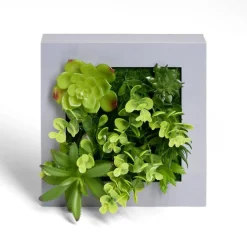 Plante artificielle décoration murale cadre bois gris 20x20cm < Gifi Best
