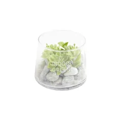 Plante artificielle grasse en pot rond 9,8xH8,2cm