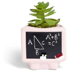 Plante artificielle Merci pour cette année pot céramique - 3 modèles < Gifi Sale