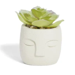 Plante artificielle pot ciment forme visage Ø6,5xH9cm (plusieurs modèles) < Gifi Discount
