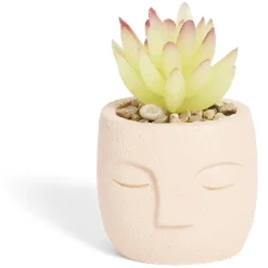 Plante artificielle pot ciment forme visage Ø6,5xH9cm (plusieurs modèles) < Gifi Discount