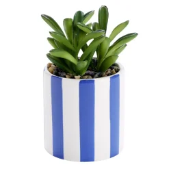 Plante artificielle succulente pot bayadère rayures colorées Ø8xH15,5cm (2 modèles)