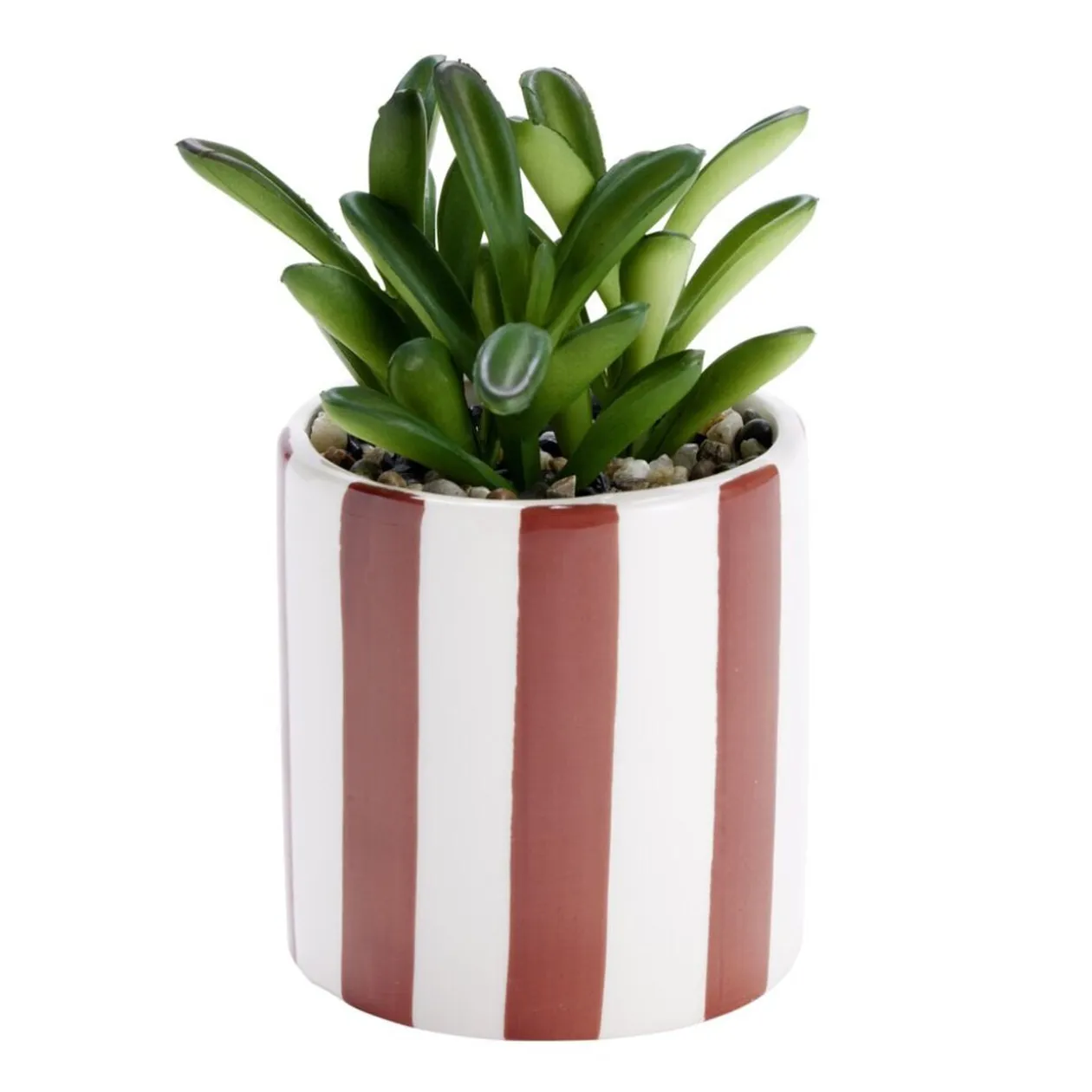 Plante artificielle succulente pot bayadère rayures colorées Ø8xH15,5cm (2 modèles)