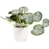 Plante artificielle verte dans pot Ø6xH13cm < Gifi Clearance