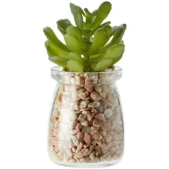 Plante en pot avec cailloux Ø5,5 cm < Gifi