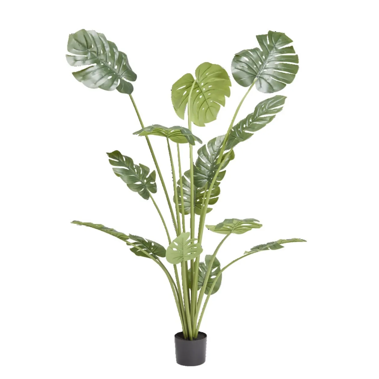 Plante exotique artificielle monstera Ø15xH180cm