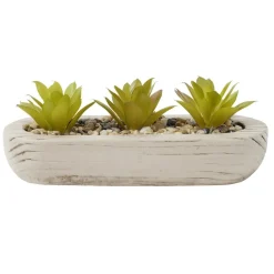 Plante grasse artificielle base ovale ciment imitation bois 18x8xH8cm (2 modèles)