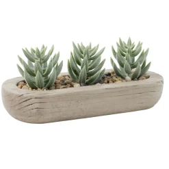 Plante grasse artificielle base ovale ciment imitation bois 18x8xH8cm (2 modèles)