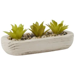 Plante grasse artificielle base ovale ciment imitation bois 18x8xH8cm (2 modèles)