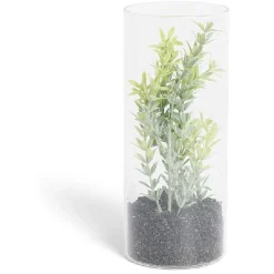 Plante grasse artificielle dans tube en verre Ø8xH19cm
