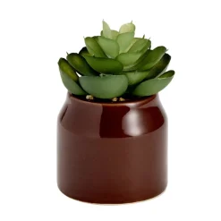 Plante grasse artificielle dans pot dolomite uni Ø6xH8cm (4 modèles) < Gifi Online