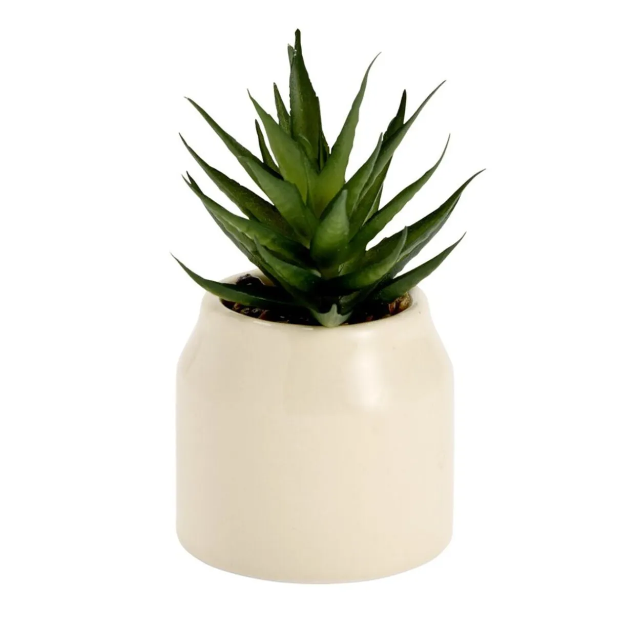 Plante grasse artificielle dans pot dolomite uni Ø6xH8cm (4 modèles) < Gifi Online