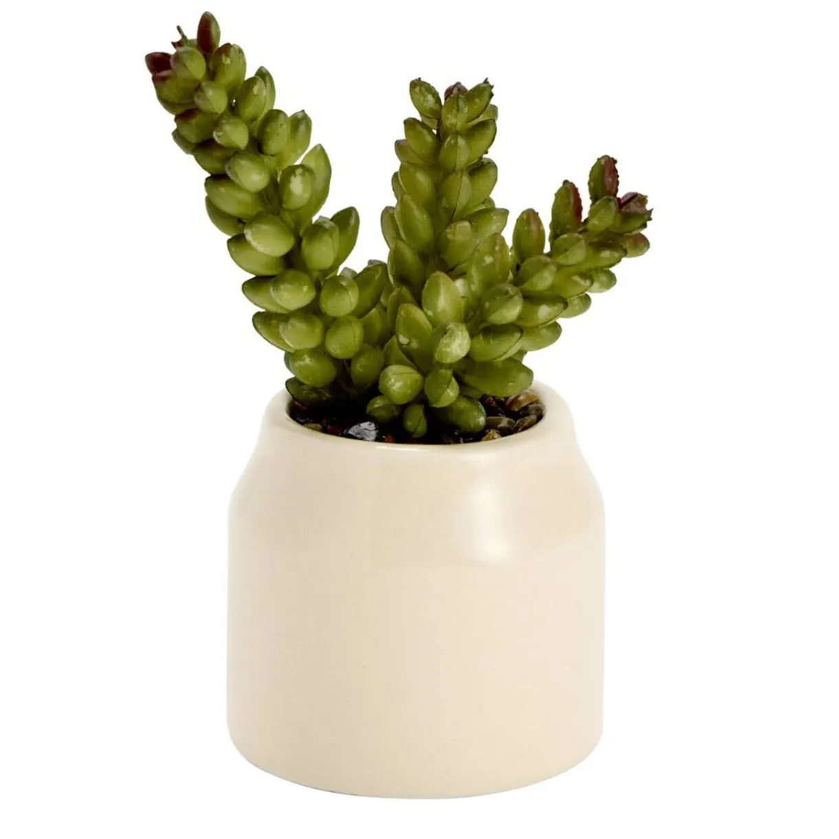 Plante grasse artificielle dans pot dolomite uni Ø6xH8cm (4 modèles) < Gifi Online