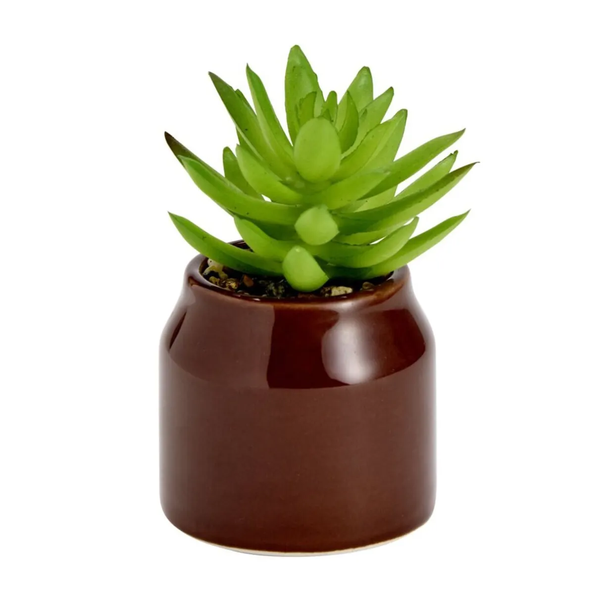 Plante grasse artificielle dans pot dolomite uni Ø6xH8cm (4 modèles) < Gifi Online