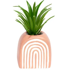 Plante grasse artificielle H9cm pot ciment (3 modèles) < Gifi Discount
