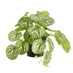 Plante verte artificielle pot noir H17cm - 2 modèles