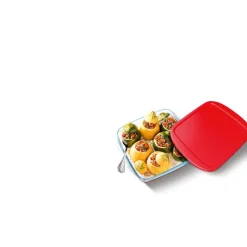 Plat de cuisson carré en verre avec couvercle en plastique 1 L