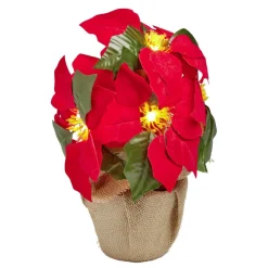 Poinsettia lumineux H23cm < Gifi Discount
